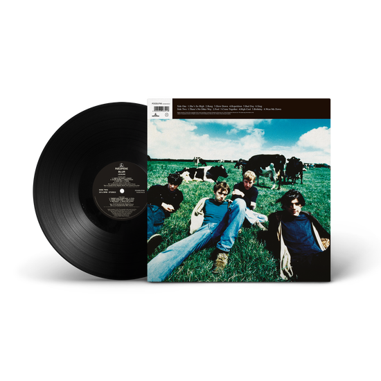 Leisure (Vinyl Special Edition)