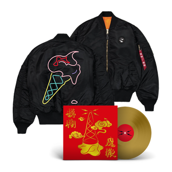 The Magic Whip Anniversary Vinyl & Black Bomber Jacket Bundle